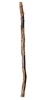 Heartland Didgeridoo (HD584)